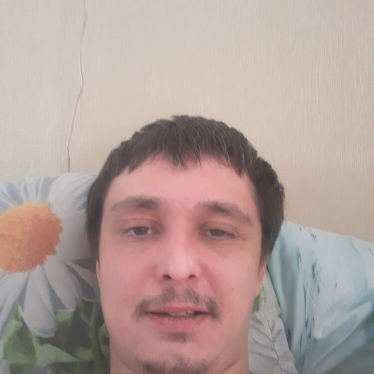  41750049  , 34 ,     