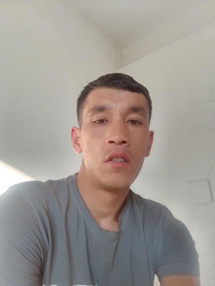  43423929  , 28 ,    -