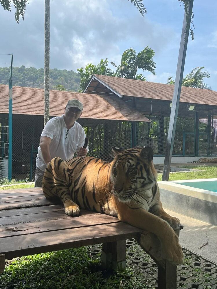 ���� 56104119 ������� ���, 52 ����, ���� ���������� � �������