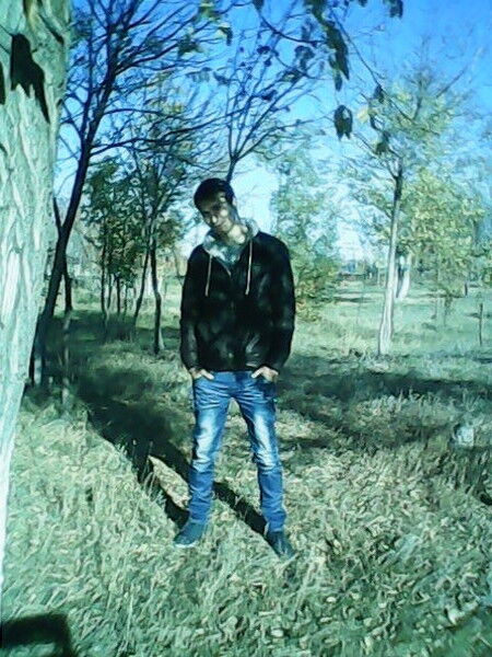  9219919  87470511568, 33 ,    