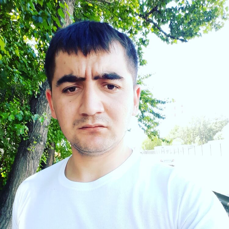  -,   , 31 ,   ,   , c 