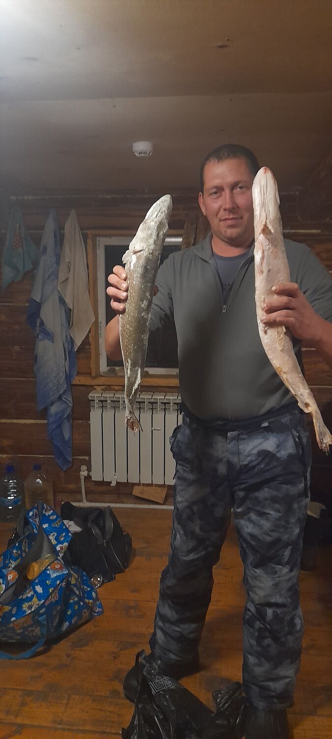 ���������� ���������, ���� ������� ������, 40 ���, ������������ ��� ������, ����� � ���������