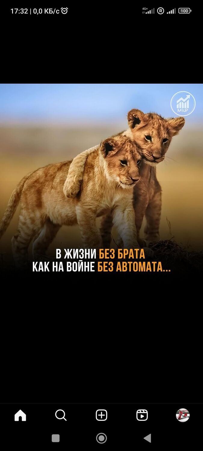  51564059  , 35 ,    -