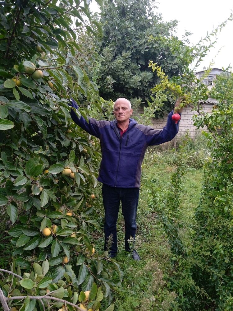 ���������� ������������, ���� ������� ������, 59 ���, ������������ ��� ������, ����� � ���������