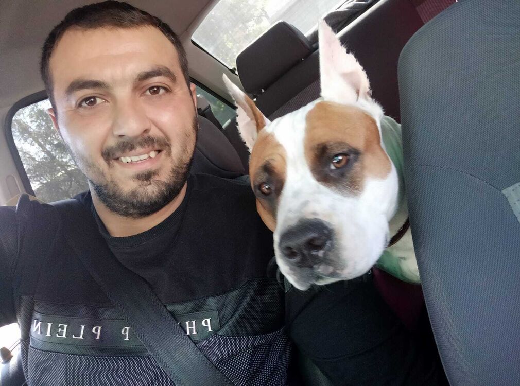  ,   , 37 ,     , 