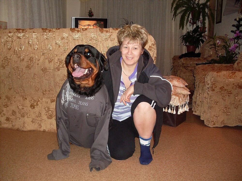  52948249  , 57 ,    -