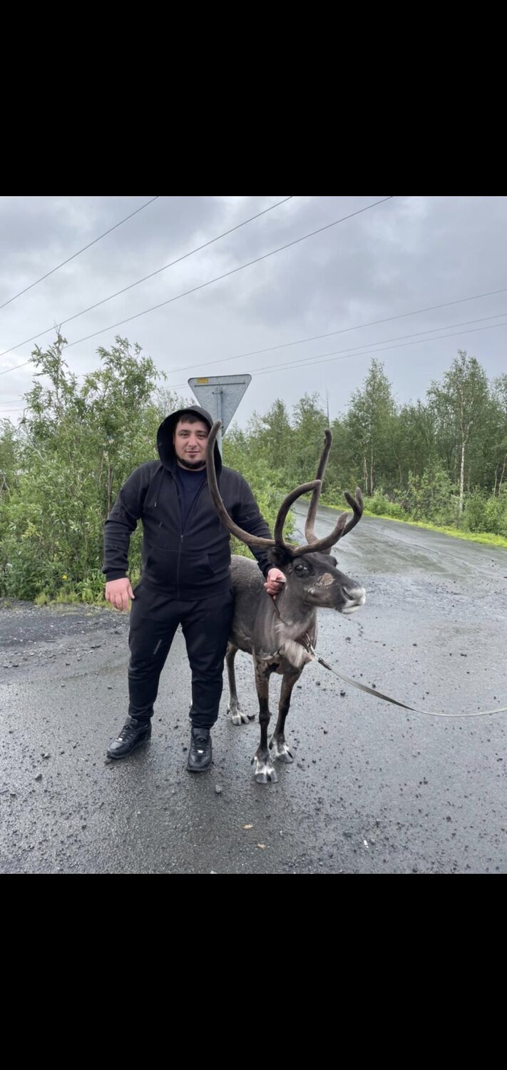 ���� 23546079 ������� �����, 44 ����, ���� ���������� � ������