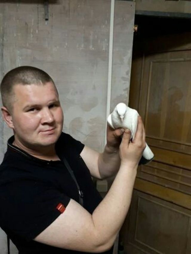 ���� 18885509 ������� �������, 37 ���, ���� ���������� � ���������