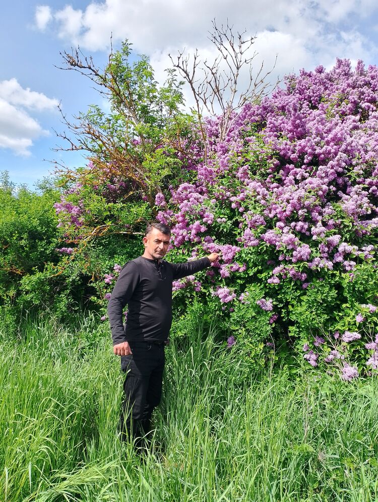  51247279  Zakir, 41 ,    