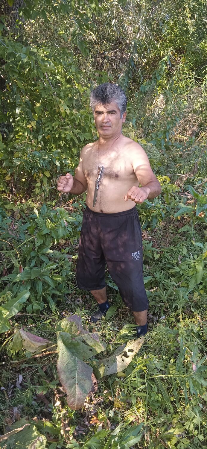  ,   , 54 ,   ,   