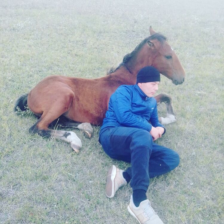 ���� 18261049 ������� ����, 36 ���, ���� ���������� � ������