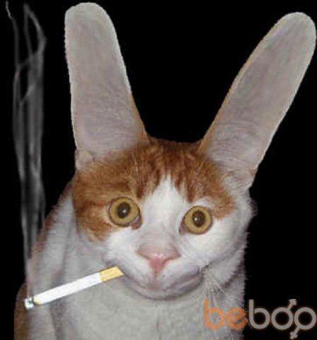 ���� 1060509 ������� Kis403, 43 ����, ���� ���������� � �������