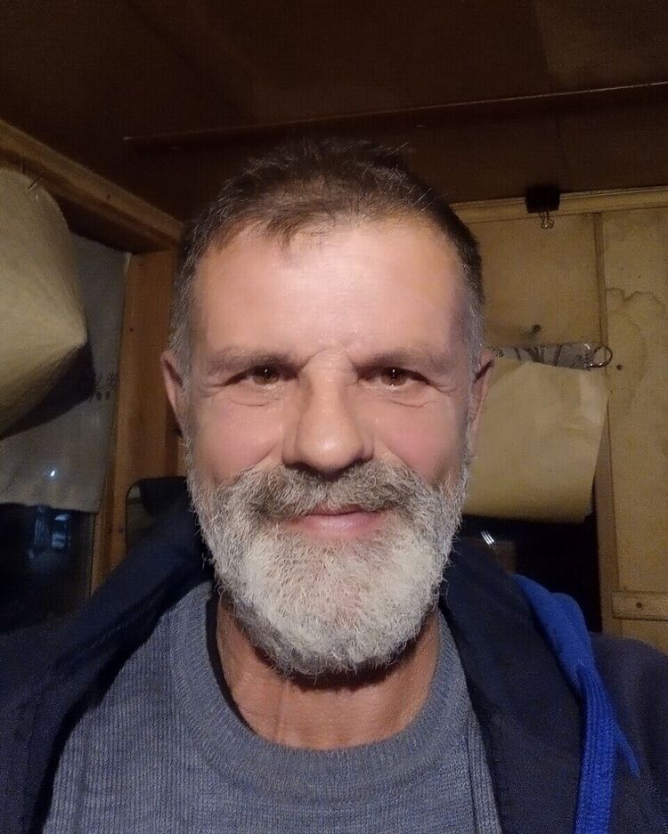  21590879  , 66 ,    