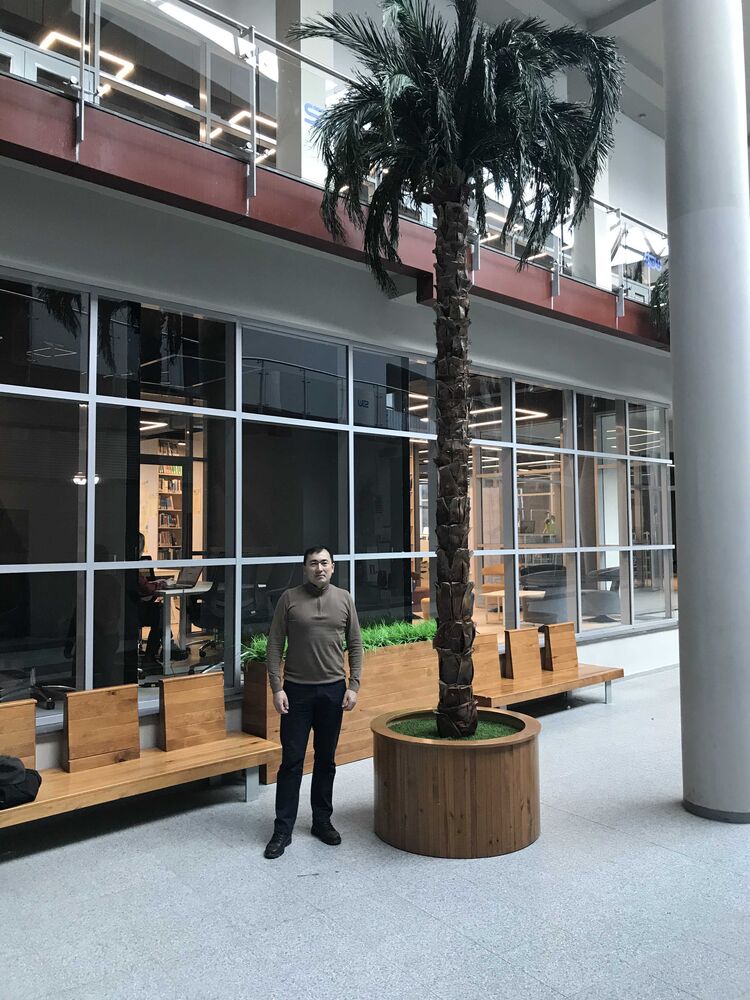 ���� 25243949 ������� ����, 35 ���, ���� ���������� � ������