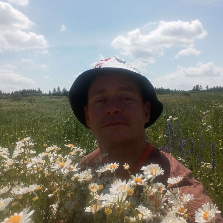 ���� 27615559 ������� ����, 44 ����, ���� ���������� � �����