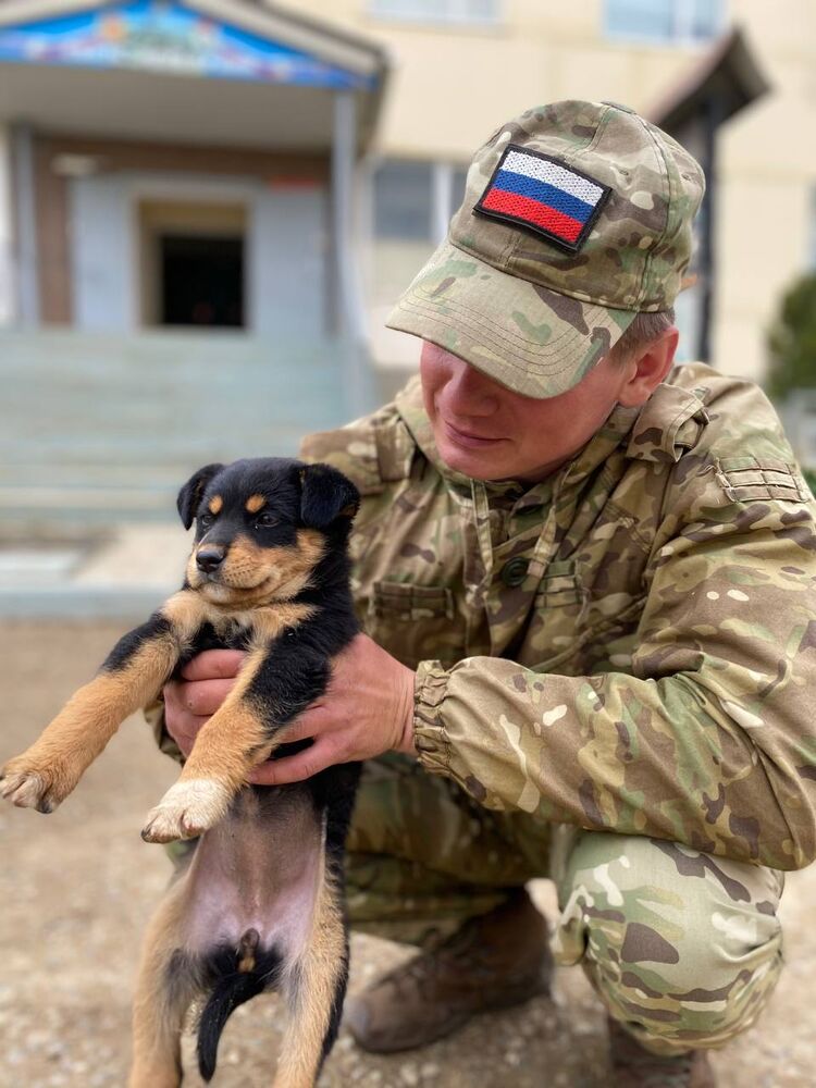 ���������� ���������, ���� ������� ����, 26 ���, ������������ ��� ������, ����� � ���������