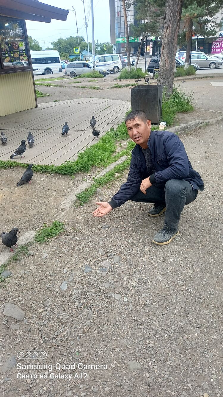  -,   , 40 ,   ,   