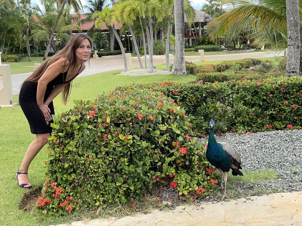  25899589  , 40 ,    -