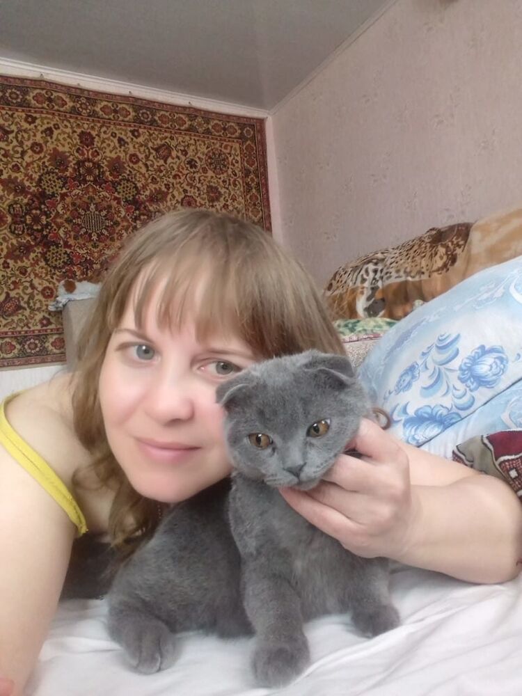 ���������� ���������, ���� ������� ��������, 41 ���, ������������ ��� ������, ����� � ���������, c�������� ���������