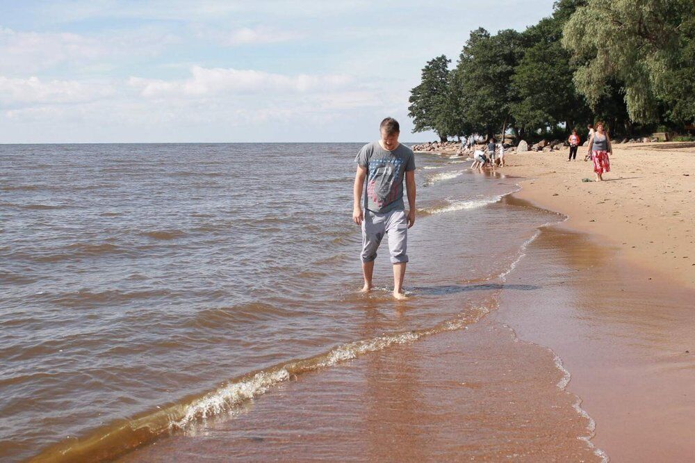 ���������� �����-���������, ���� ������� �����, 36 ���, ������������ ��� ������, ����� � ���������