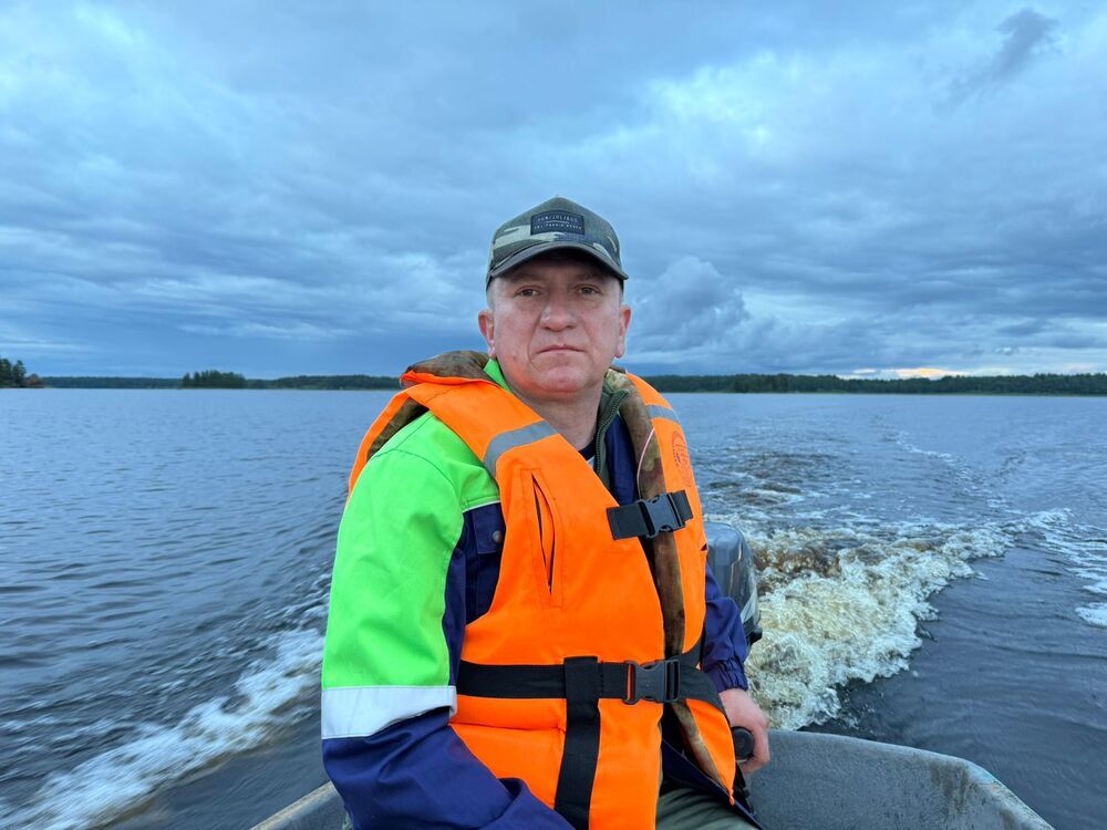  54233499  , 50 ,    -