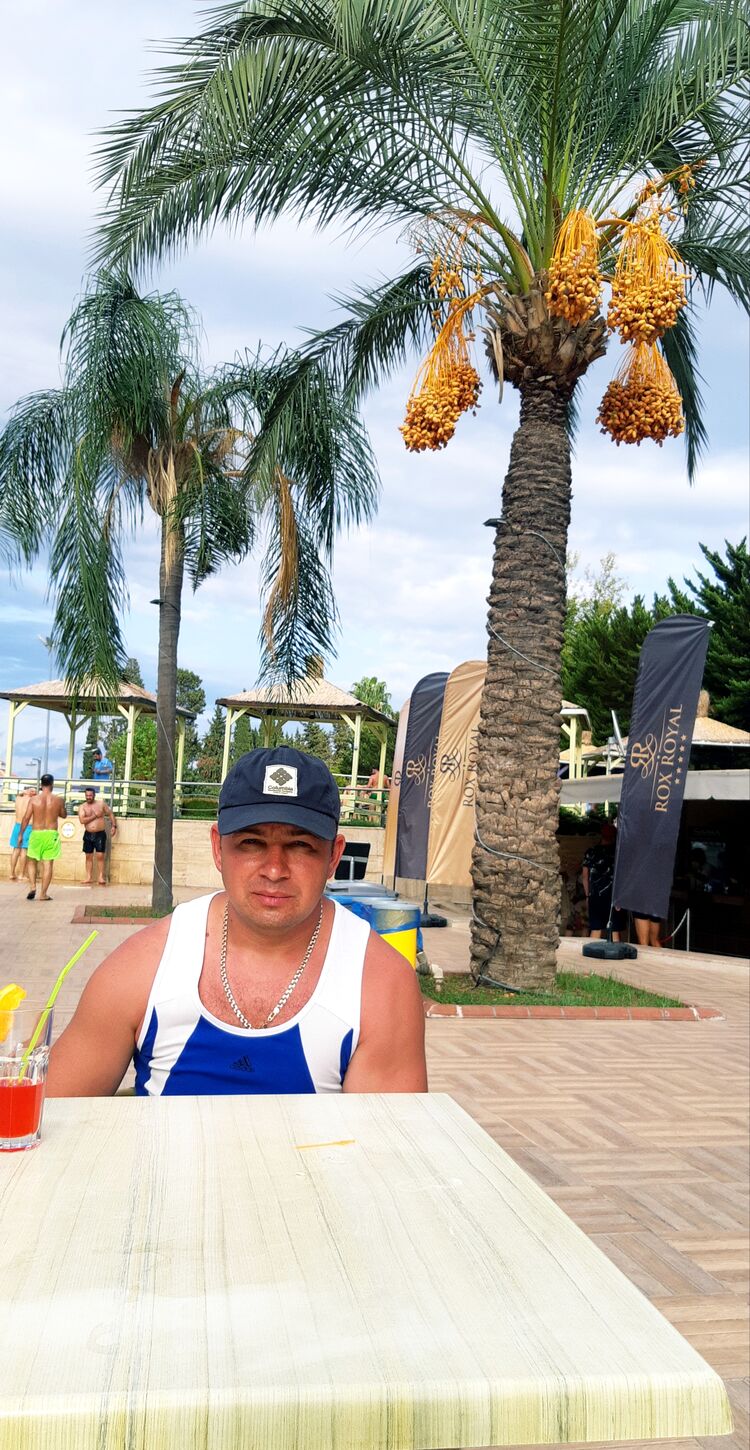 ���� 41073319 ������� ������, 40 ���, ���� ���������� � ���������