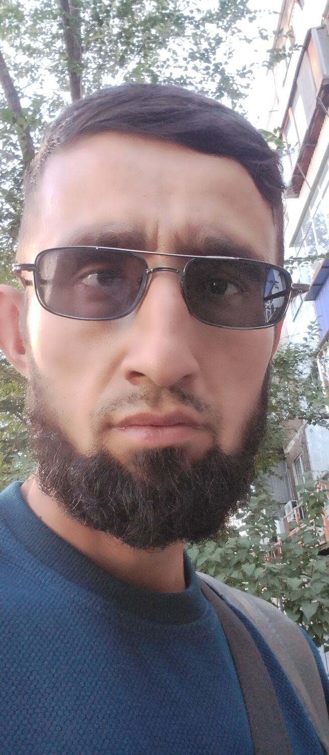  45886319  , 31 ,    
