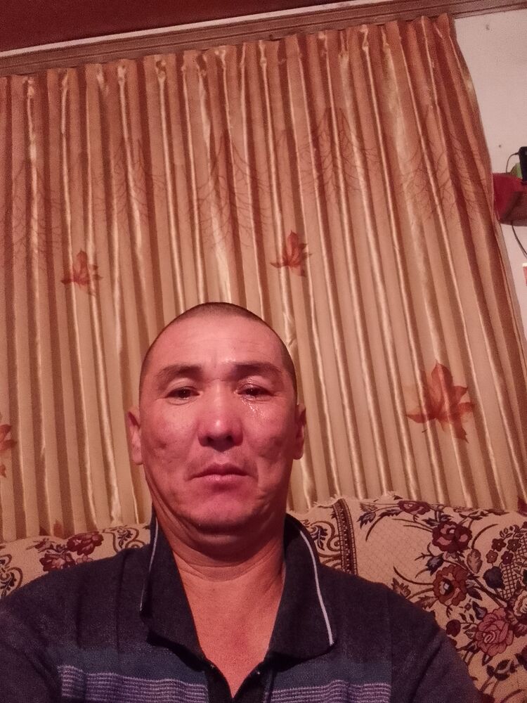 ���� 38375409 ������� ���������, 46 ���, ���� ���������� � ������