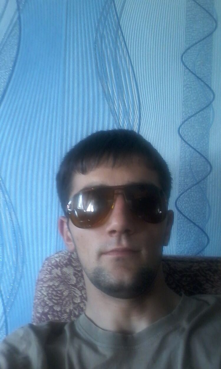  23248339  , 31 ,    