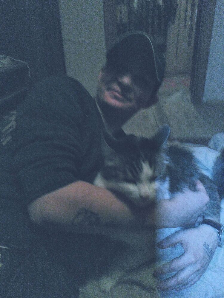 ���������� ��������, ���� ������� ���������, 29 ���, ������������ ��� ������, c�������� ���������