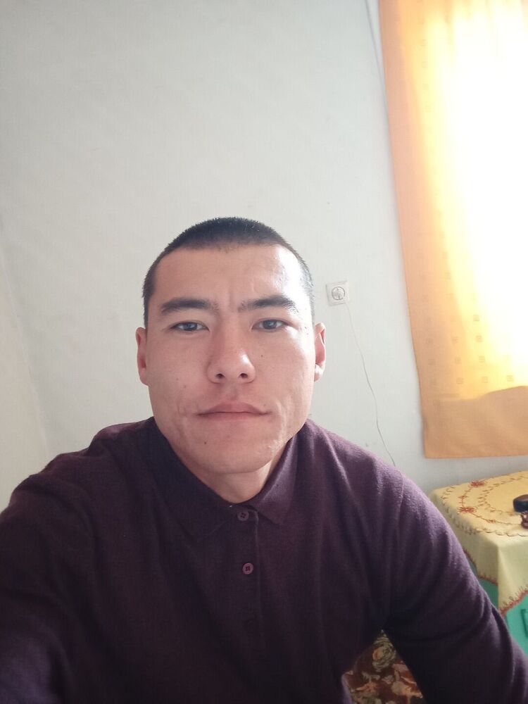  53928089  , 31 ,    -