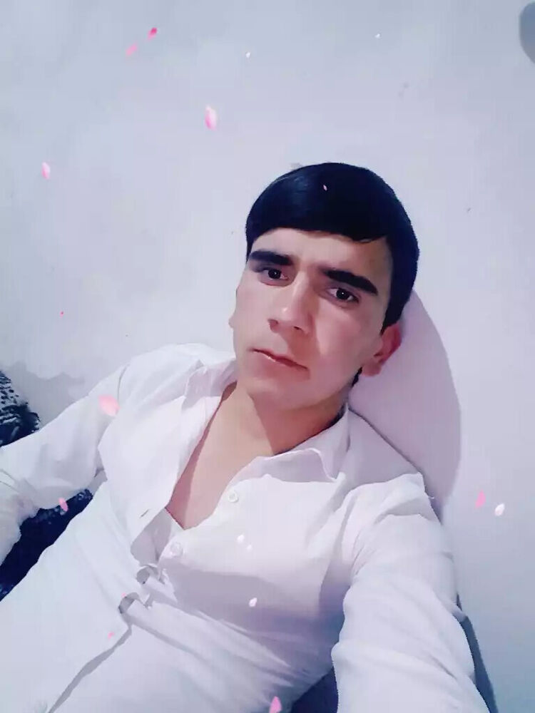 ���� 30676169 ����� Hofiz, 24 ����, ���� ���������� � �����-����������