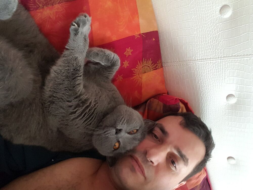  ,   , 50 ,  