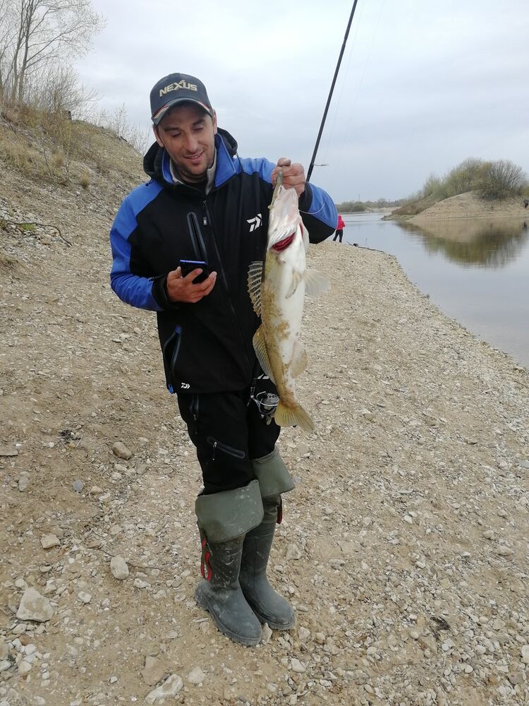 ���� 19808309 ������� �������, 42 ����, ���� ���������� � ���������