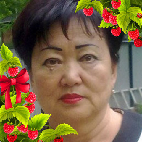 ���� 25254559 ������� ������, 72 ����, ���� ���������� � ��������