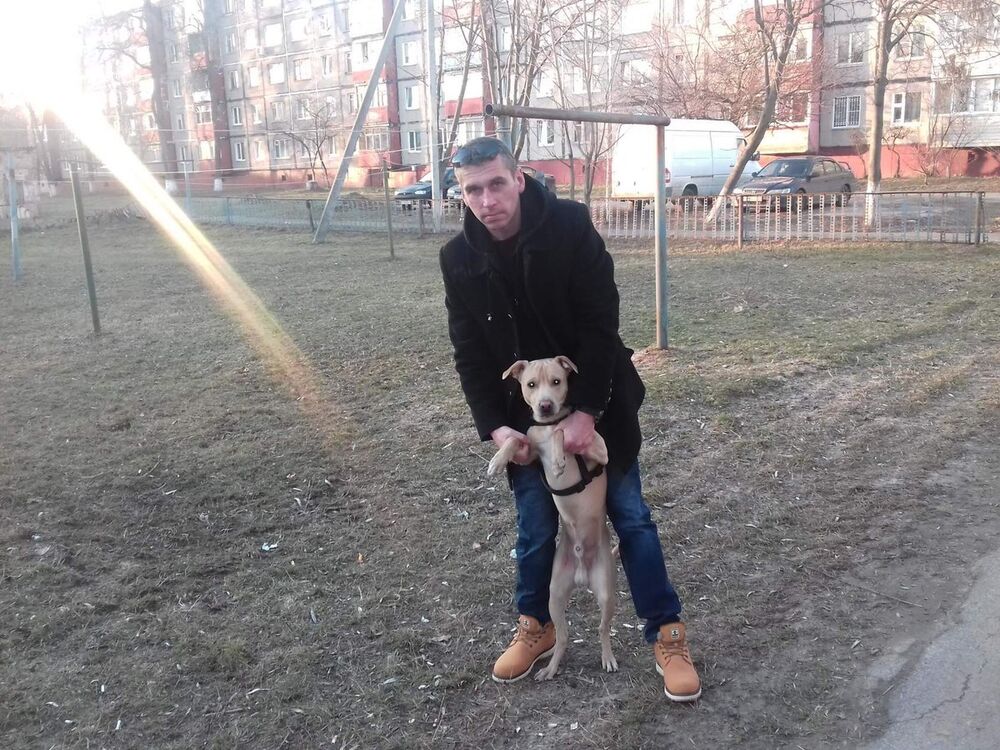 ���� 9808349 ������� ������, 44 ����, ���� ���������� � ������