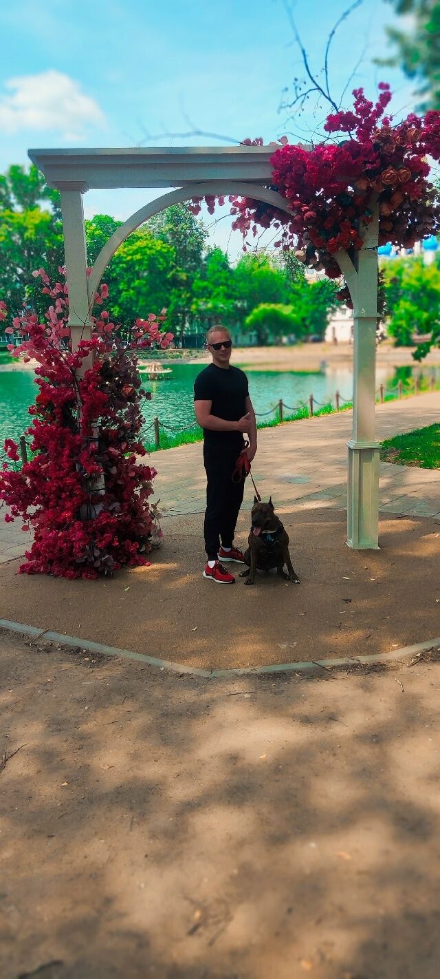 ���� 56202769 ������� ������, 30 ���, ���� ���������� � ��������