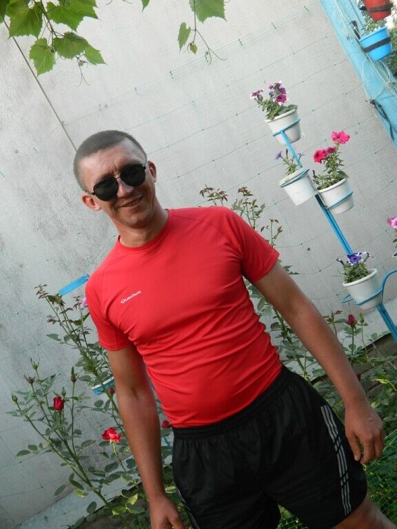  23385699  , 43 ,    