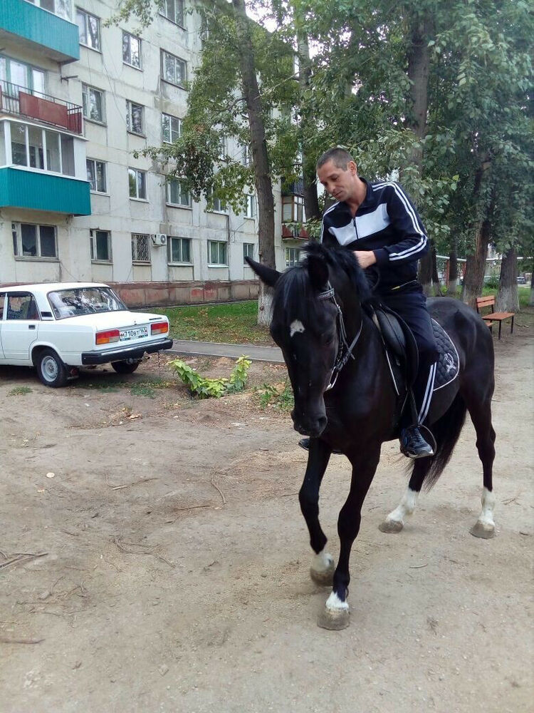 ���� 21004269 ������� ������, 39 ���, ���� ���������� � ������