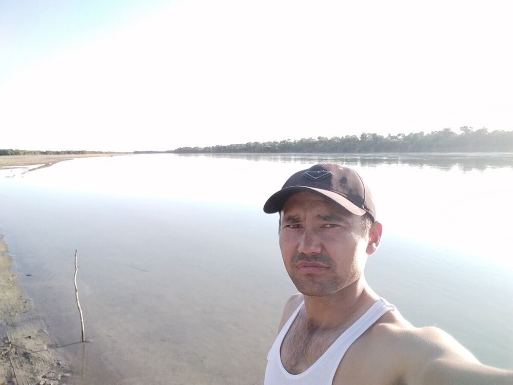 ���� 20411279 ������� Baxa, 39 ���, ���� ���������� � ��������