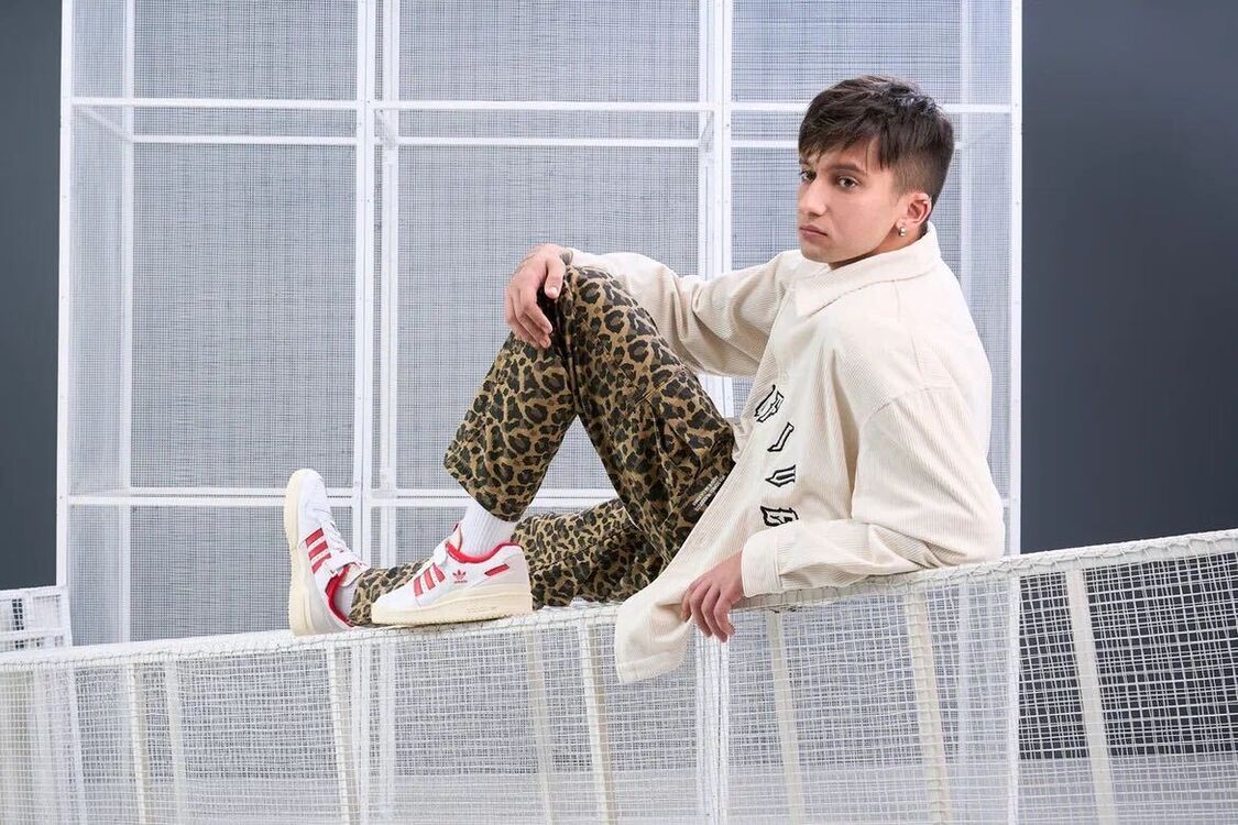 ���������� ������, ���� ������� Brownie, 27 ���, ������������ ��� ������, ����� � ���������, c�������� ���������