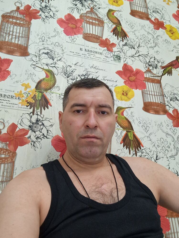 ���������� ��������, ���� ������� Amid, 41 ���, ������������ ��� ������, ����� � ���������