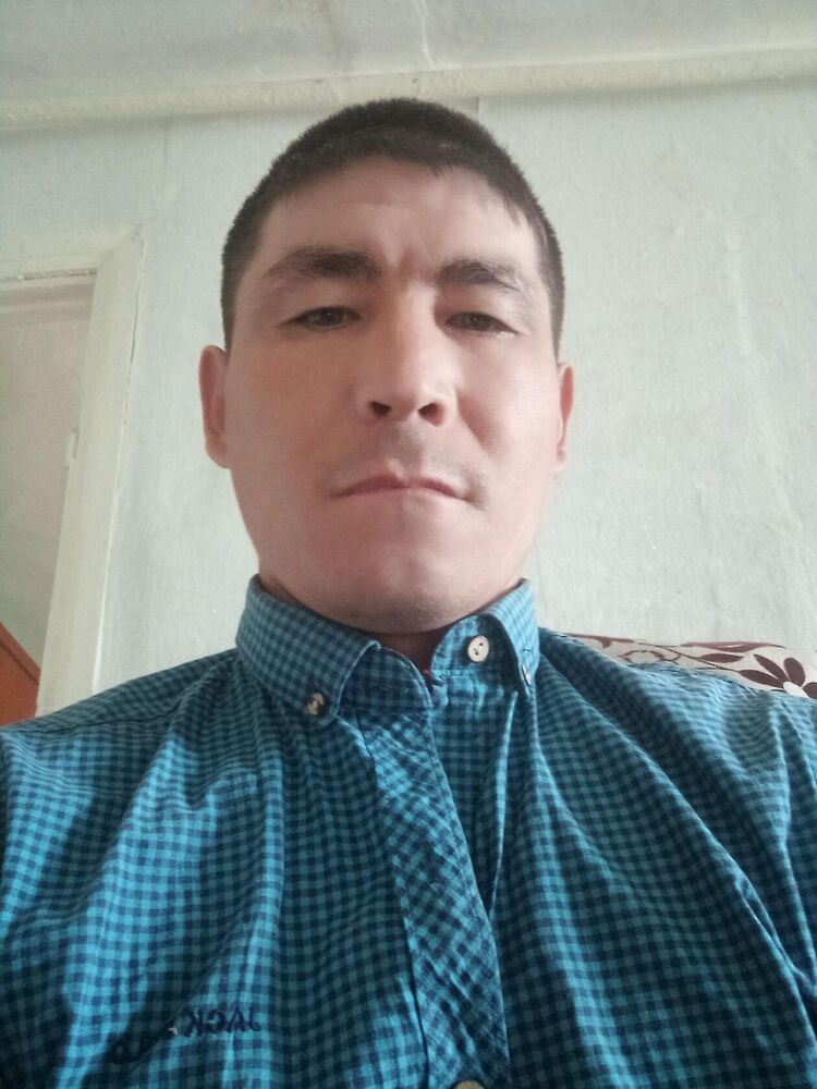  50400989  , 38 ,    