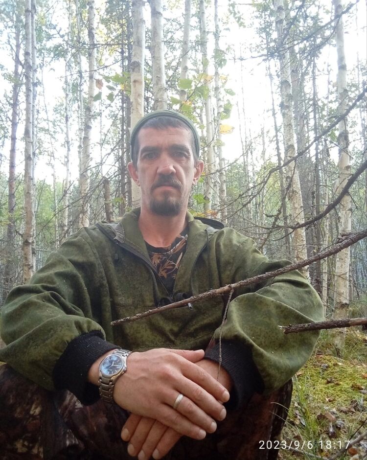 ���� 37602009 ������� �����, 48 ���, ���� ���������� � �����