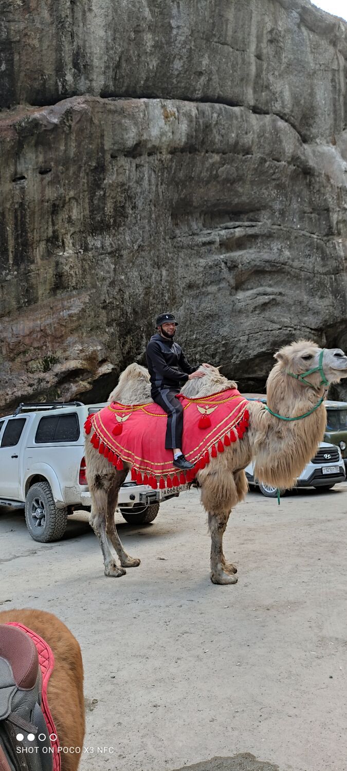 ���� 32203899 ������� �����, 30 ���, ���� ���������� � ��������