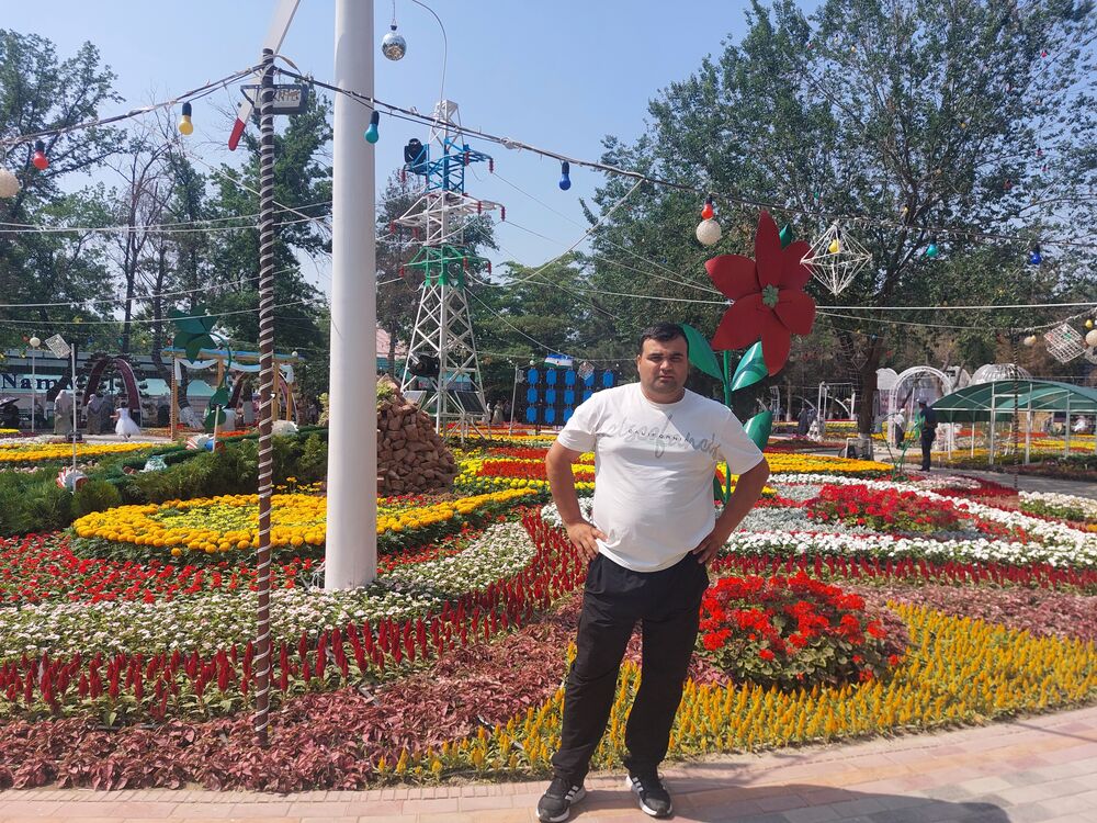 ���� 43741199 ������� ����, 33 ����, ���� ���������� � ��������