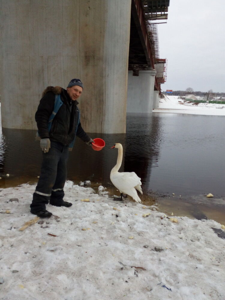 ���� 13499929 ������� �������, 41 ���, ���� ���������� � ��������