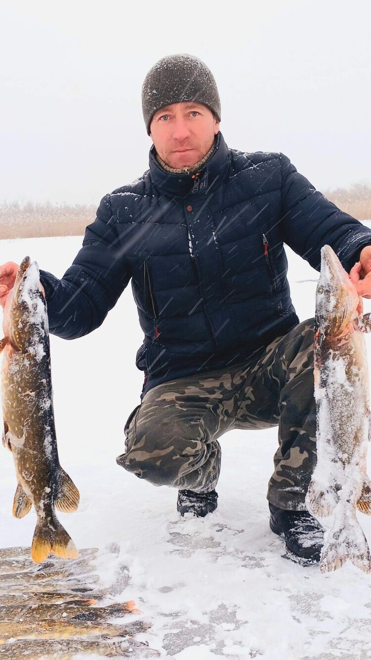 ���������� �����, ���� ������� ������, 37 ���, ������������ ��� ������, ����� � ���������