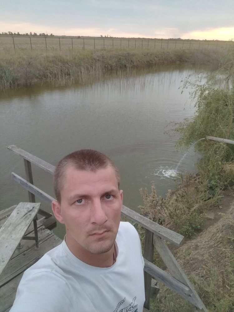  39785519  , 28 ,    