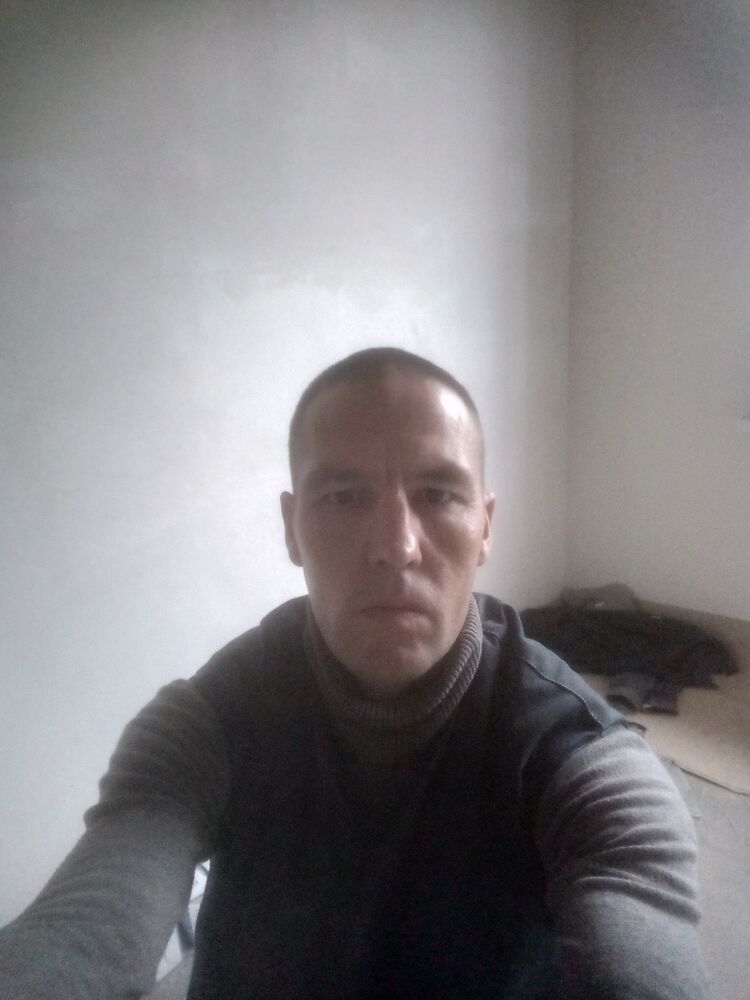  29512199  , 43 ,    